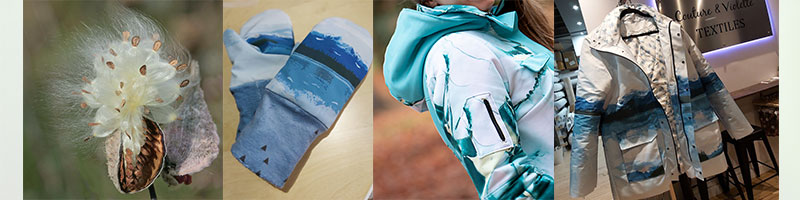 Asclepiade / Milkweed