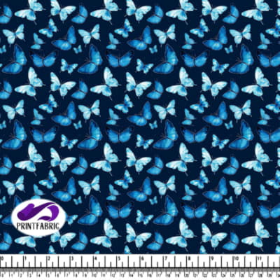 Motif de Papillon Bleu dans le Ciel