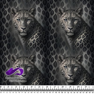 Leopard with piercing eyes against a dark background