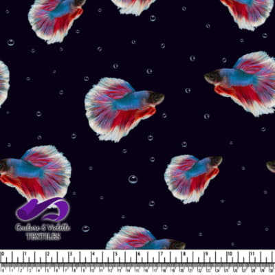 Motif Coloré de Poissons Betta sur Fond Noir