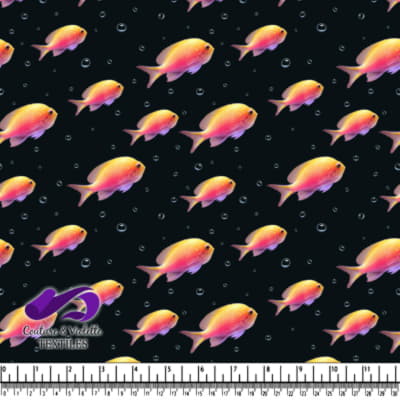 Colorful tropical fish and air bubbles