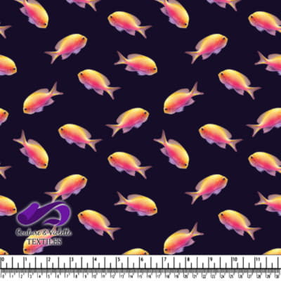 Poissons Vibrants Orange et Rose sur Fond Sombre