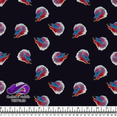 Poissons Combattants Siamois Colorés sur Fond Noir