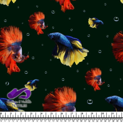 Colorful Siamese Fighting Fish Pattern on Black Background