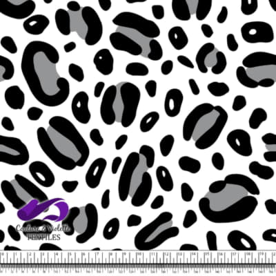 Texture animale - Léopard en noir et blanc