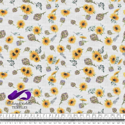 Artichaut et tournesol sur fond blanc