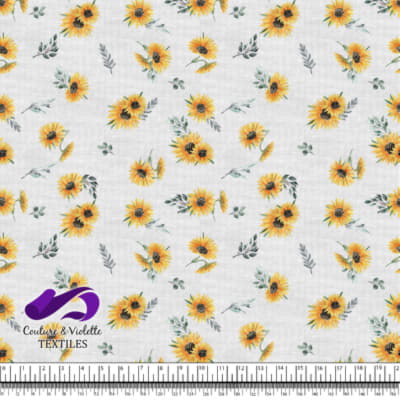 Tournesols sur fond blanc