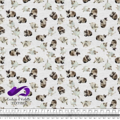 Chat Siamois - Blanc