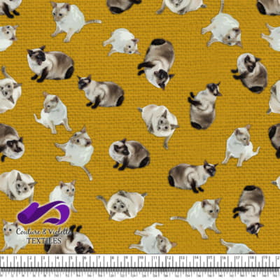 Chat Siamois - Jaune Doré