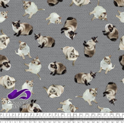 Chat Siamois - Gris Ultime