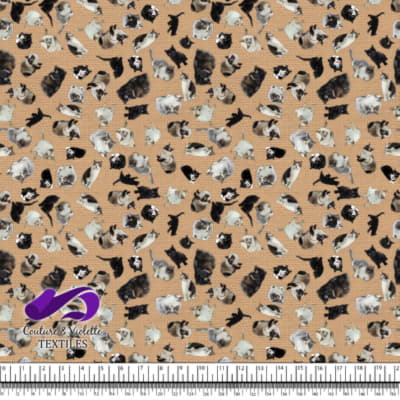 Chat - Chaterie sur Texture Beige Nuageux