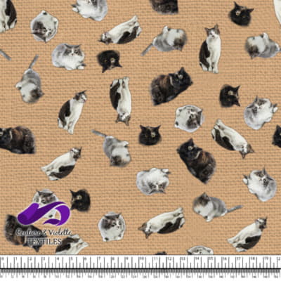 Chat - Mademoiselle sur la texture de brume désertique