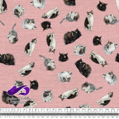 Chat - Mademoiselle à Première Vue Rose Poudré