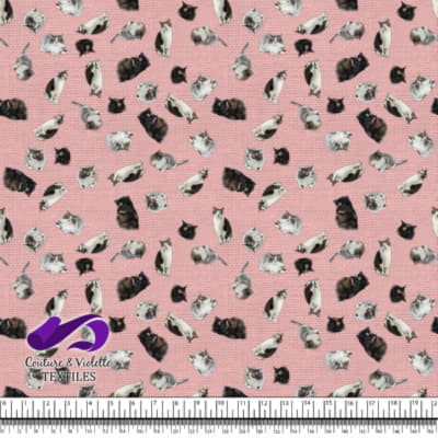 Chat - Mademoiselle à Première Vue Rose Poudré