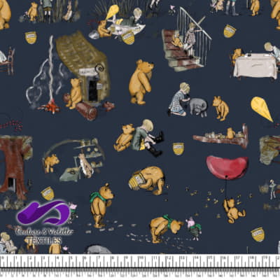 Winnie The Pooh - Histoire - Blueberry