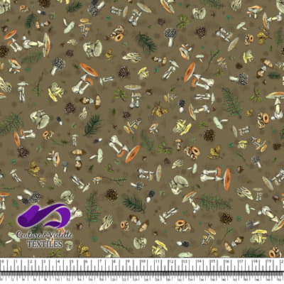 Vintage mushroom - Champignons sauvages - Martini olive