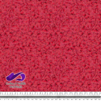 Petits Fruits - Framboise