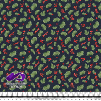 Noël Casse-Noisette - Gui - Bleu apres minuit