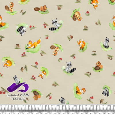 Petits animaux - Animaux de la foret - Cream cloud