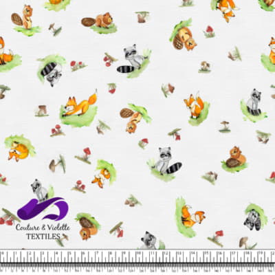 Petits animaux - Animaux de la foret - Blanc