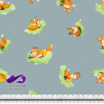 Petits animaux - Renard - Blue cloud