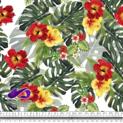 Tropical - Jungle hibiscus - Blanc