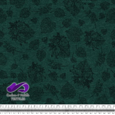 Monstera - Trait noir - Growth