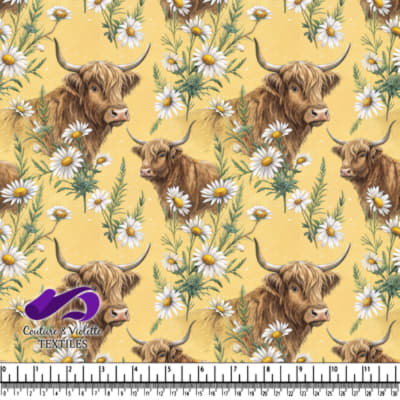 Highland Cows Among Daisy Flowers